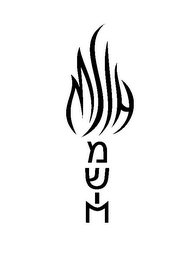 MSIH logo