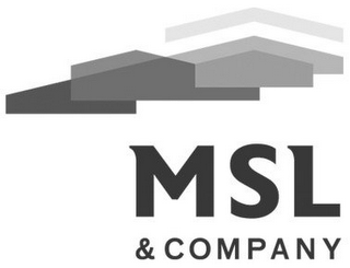MSL & COMPANY logo