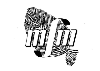 MSM logo