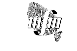 MSM logo