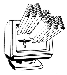 MSM logo