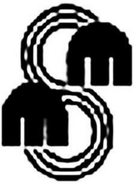 MSM logo