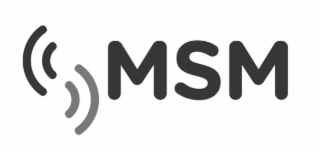 MSM logo