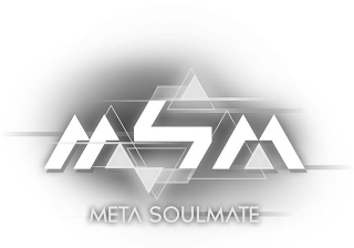 MSM META SOULMATE logo