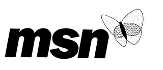 MSN logo