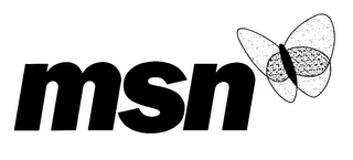 MSN logo