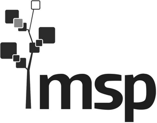 MSP logo