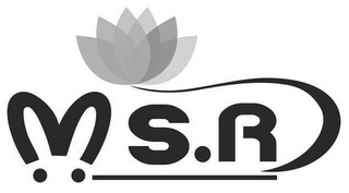 MS.R logo