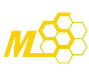 MSS logo