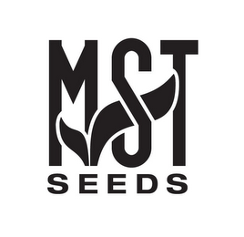 MST SEEDS logo