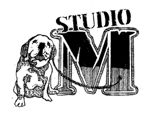 MSTUDIO logo