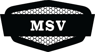 MSV logo