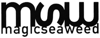 MSW MAGICSEAWEED logo