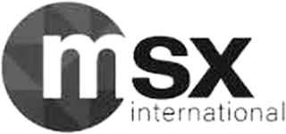 MSX INTERNATIONAL logo