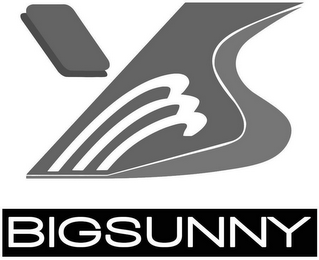 MSY BIGSUNNY logo