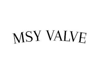 MSY VALVE logo