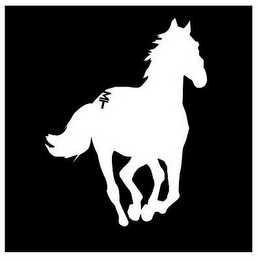MT logo