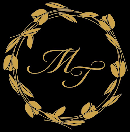 MT logo