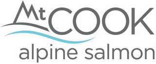 MT COOK ALPINE SALMON logo