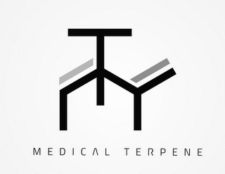 MT MEDICAL TERPENE logo