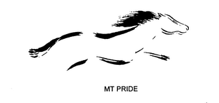 MT PRIDE logo