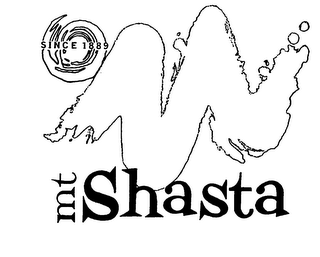 MT SHASTA logo