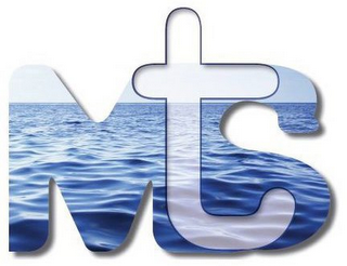 MTS logo