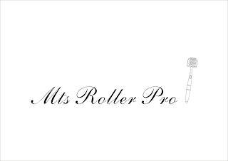MTS ROLLER PRO logo
