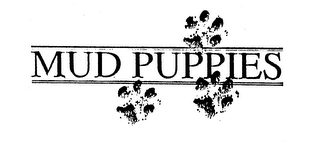 MUD PUPPIES logo