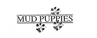 MUD PUPPIES logo