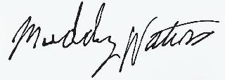 MUDDY WATERS logo