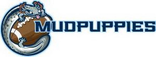 MUDPUPPIES logo