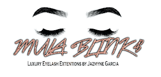 MULA BLINK$ logo
