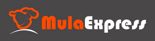MULAEXPRESS logo