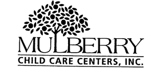 MULBERRY CHILD CARE CENTERS, INC. logo
