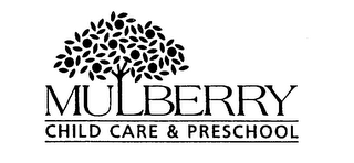 MULBERRY CHILD CARE & PRESCHOOL logo