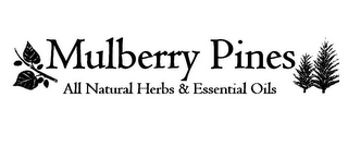 MULBERRY PINES ALL NATURAL HERBS & ESSENTIAL OILS logo