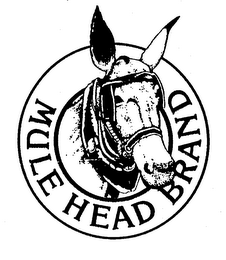 MULE HEAD BRAND logo