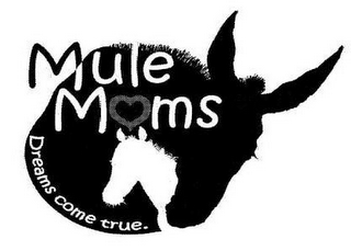 MULE MOMS DREAMS COME TRUE. logo