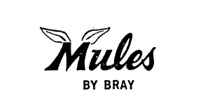 MULES BY BRAY logo