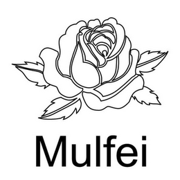 MULFEI logo
