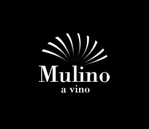 MULINO A VINO logo