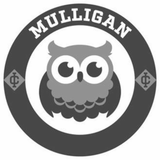 MULLIGAN CI CI logo