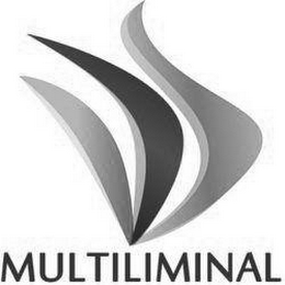 MULTILIMINAL logo