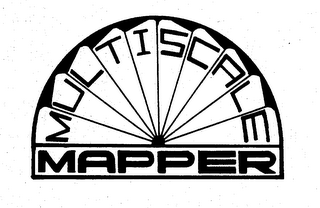 MULTISCALE MAPPER logo