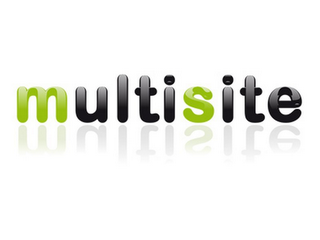 MULTISITE logo