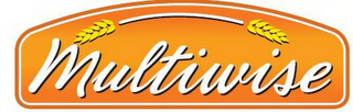MULTIWISE logo