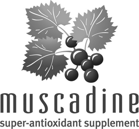 MUSCADINE SUPER-ANTIOXIDANT SUPPLEMENT logo