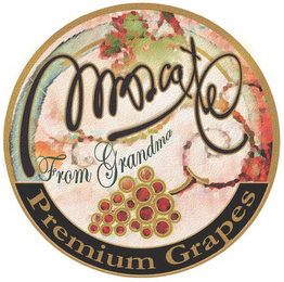 MUSCATEL FROM GRANDMA PREMIUM GRAPES logo