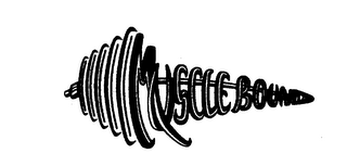 MUSCLE BOUND logo